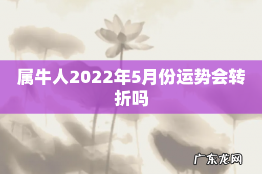属牛人2022年5月份运势会转折吗