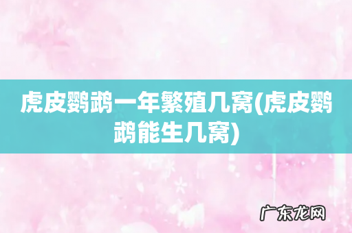 虎皮鹦鹉能生几窝 虎皮鹦鹉一年繁殖几窝