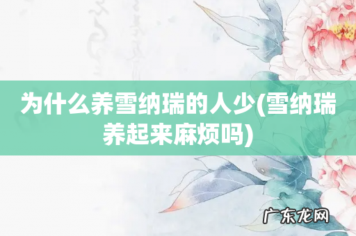 雪纳瑞养起来麻烦吗 为什么养雪纳瑞的人少