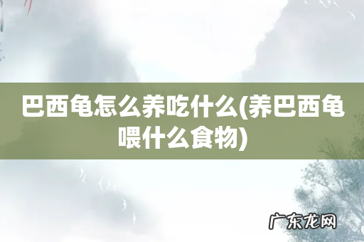 养巴西龟喂什么食物 巴西龟怎么养吃什么