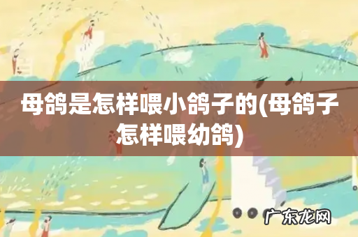 母鸽子怎样喂幼鸽 母鸽是怎样喂小鸽子的