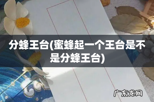 蜜蜂起一个王台是不是分蜂王台 分蜂王台