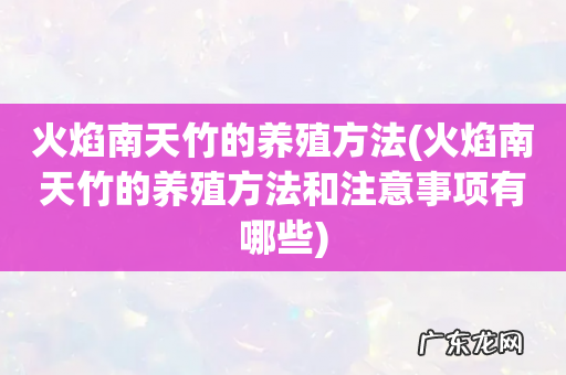 火焰南天竹的养殖方法和注意事项有哪些 火焰南天竹的养殖方法