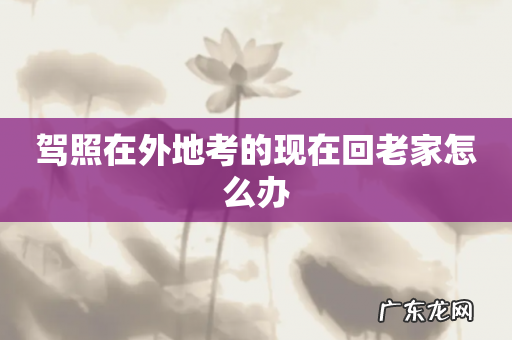 驾照在外地考的现在回老家怎么办