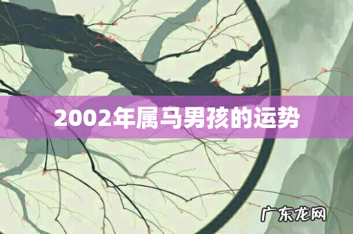 2002年属马男孩的运势