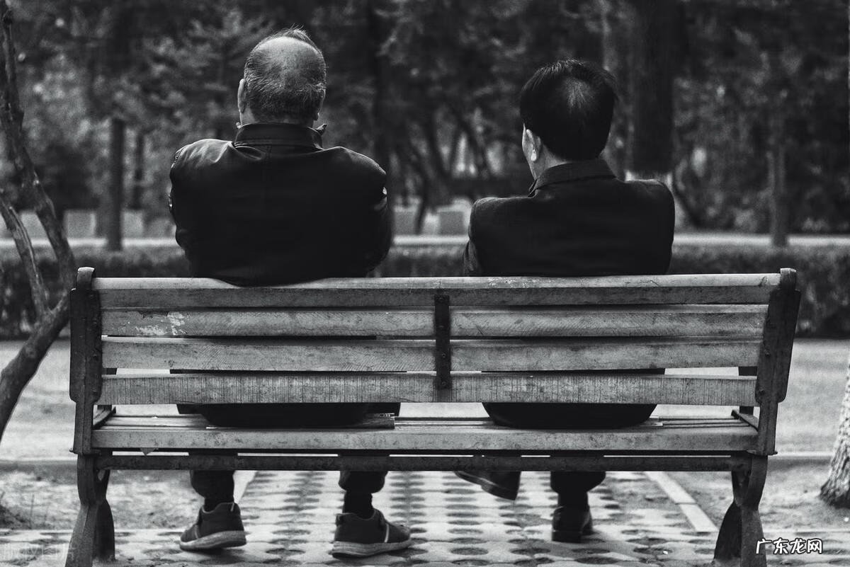 翻译语音 汉语翻译