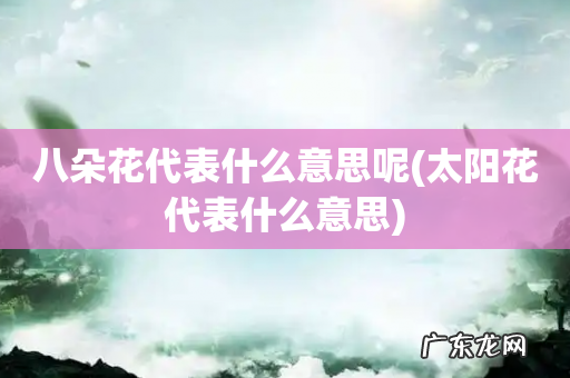 太阳花代表什么意思 八朵花代表什么意思呢