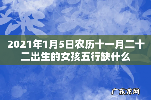 2021年1月5日农历十一月二十二出生的女孩五行缺什么