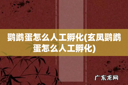 玄凤鹦鹉蛋怎么人工孵化 鹦鹉蛋怎么人工孵化