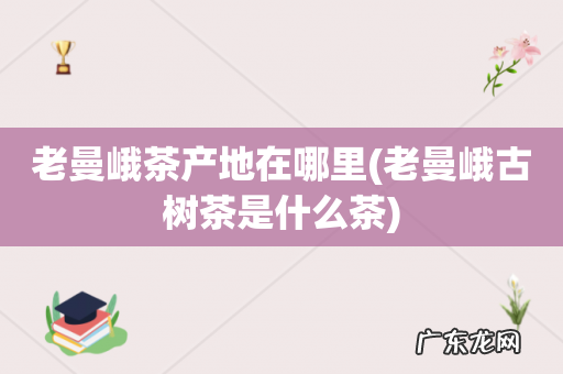 老曼峨古树茶是什么茶 老曼峨茶产地在哪里