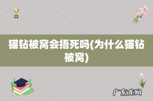 为什么猫钻被窝 猫钻被窝会捂死吗