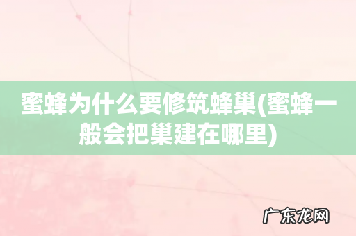 蜜蜂一般会把巢建在哪里 蜜蜂为什么要修筑蜂巢