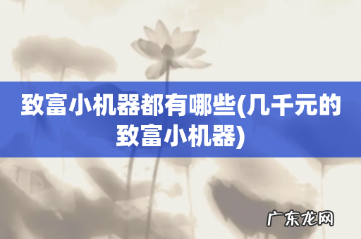 几千元的致富小机器 致富小机器都有哪些