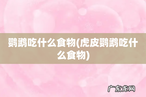 虎皮鹦鹉吃什么食物 鹦鹉吃什么食物