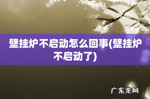 壁挂炉不启动了 壁挂炉不启动怎么回事