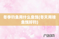 冬天用啥鱼饵好钓 冬季钓鱼用什么鱼饵