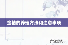 金桔的养殖方法和注意事项