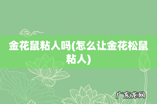 怎么让金花松鼠粘人 金花鼠粘人吗