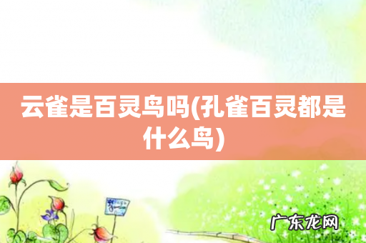 孔雀百灵都是什么鸟 云雀是百灵鸟吗