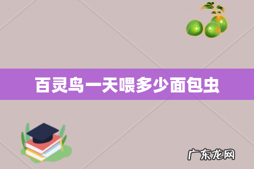 百灵鸟一天喂多少面包虫