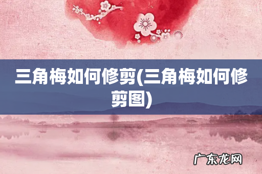 三角梅如何修剪图 三角梅如何修剪