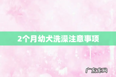 2个月幼犬洗澡注意事项