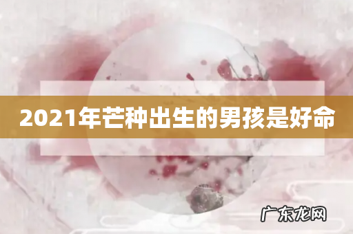 2021年芒种出生的男孩是好命