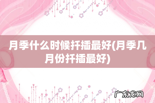 月季几月份扦插最好 月季什么时候扦插最好