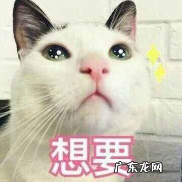 竹子窗帘的风水作用 竹帘在客厅窗户风水中的作用