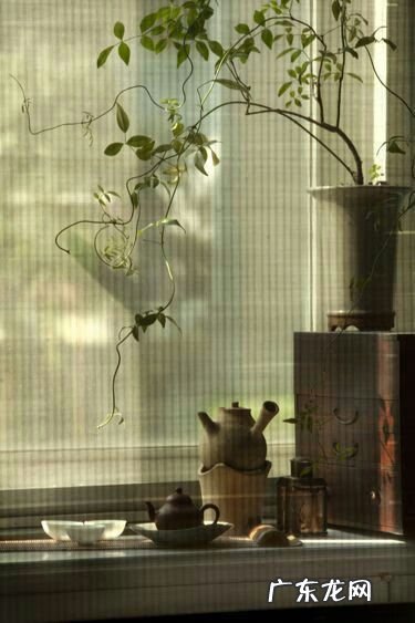 竹子窗帘的风水作用 竹帘在客厅窗户风水中的作用