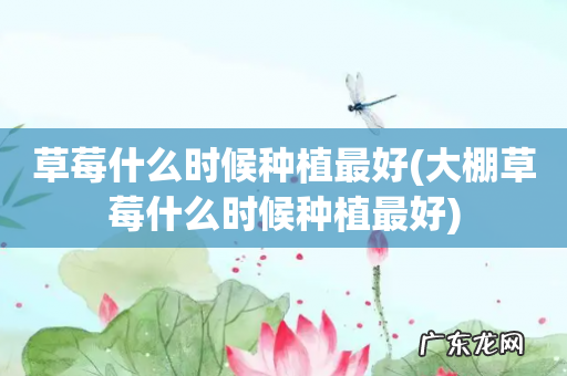 大棚草莓什么时候种植最好 草莓什么时候种植最好