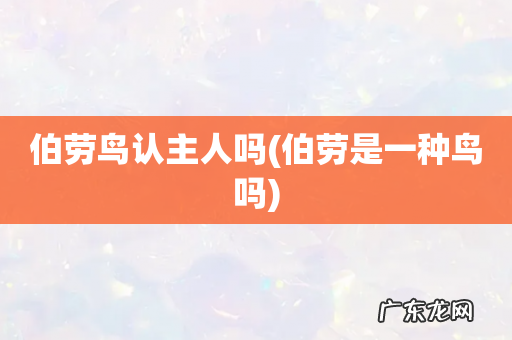 伯劳是一种鸟吗 伯劳鸟认主人吗