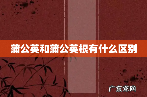 蒲公英和蒲公英根有什么区别