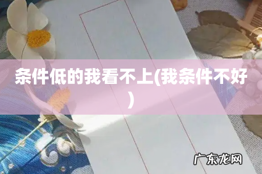 我条件不好 条件低的我看不上