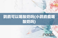 小鹦鹉能喝酸奶吗 鹦鹉可以喝酸奶吗