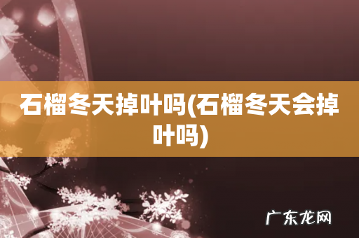 石榴冬天会掉叶吗 石榴冬天掉叶吗