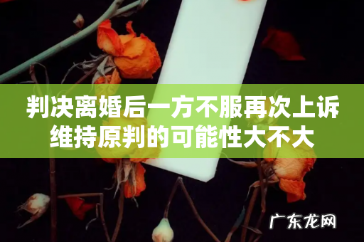 判决离婚后一方不服再次上诉维持原判的可能性大不大
