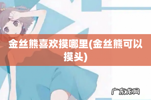 金丝熊可以摸头 金丝熊喜欢摸哪里