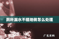 厕所漏水不砸地砖怎么处理