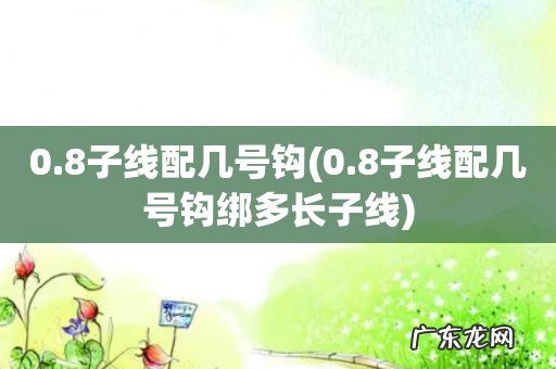 0.8子线配几号钩绑多长子线 0.8子线配几号钩