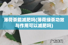 薄荷绿茶功效与作用可以减肥吗 薄荷茶能减肥吗