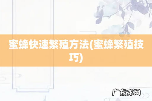 蜜蜂繁殖技巧 蜜蜂快速繁殖方法