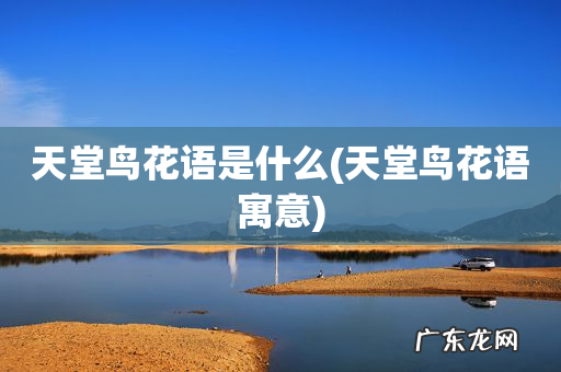 天堂鸟花语寓意 天堂鸟花语是什么