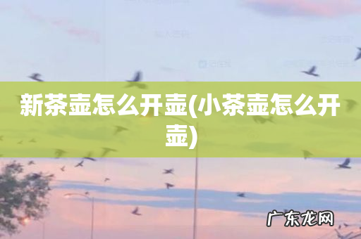 小茶壶怎么开壶 新茶壶怎么开壶