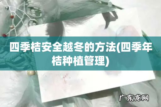 四季年桔种植管理 四季桔安全越冬的方法