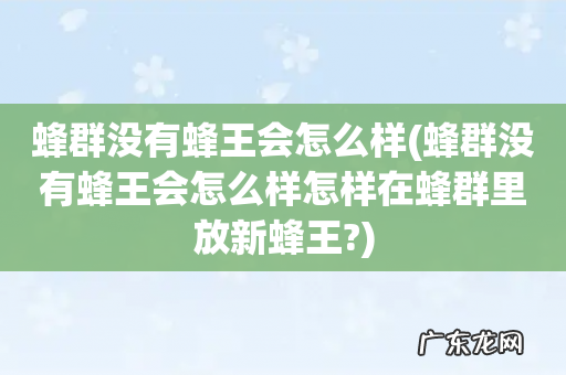 蜂群没有蜂王会怎么样怎样在蜂群里放新蜂王? 蜂群没有蜂王会怎么样