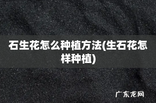 生石花怎样种植 石生花怎么种植方法