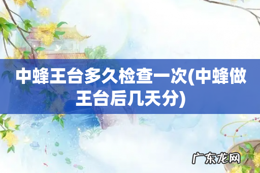 中蜂做王台后几天分 中蜂王台多久检查一次