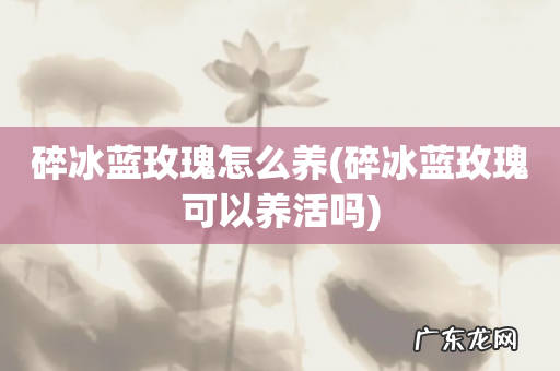 碎冰蓝玫瑰可以养活吗 碎冰蓝玫瑰怎么养