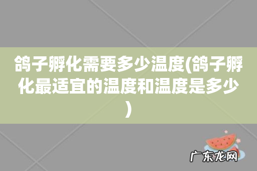 鸽子孵化最适宜的温度和温度是多少 鸽子孵化需要多少温度